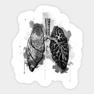 Digital Anatomical Watercolor Lungs Sticker